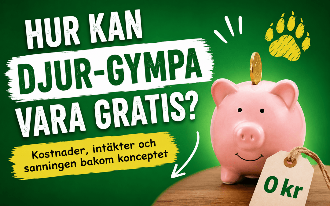 Illustration om hur DJUR-GYMPA kan vara gratis, med spargris, 0 kr och kostnaderna bakom konceptet